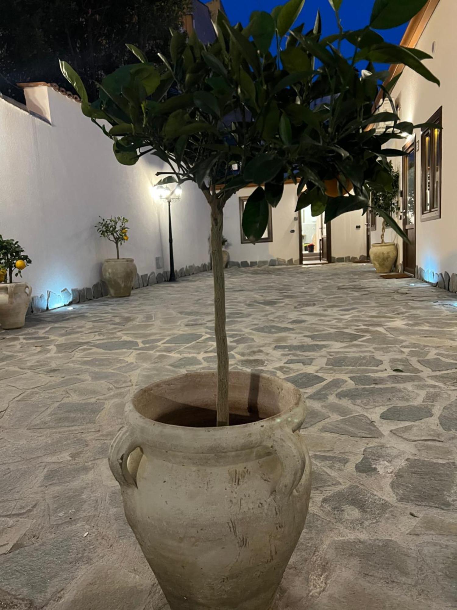 Cedros Apartment Palermo Luaran gambar