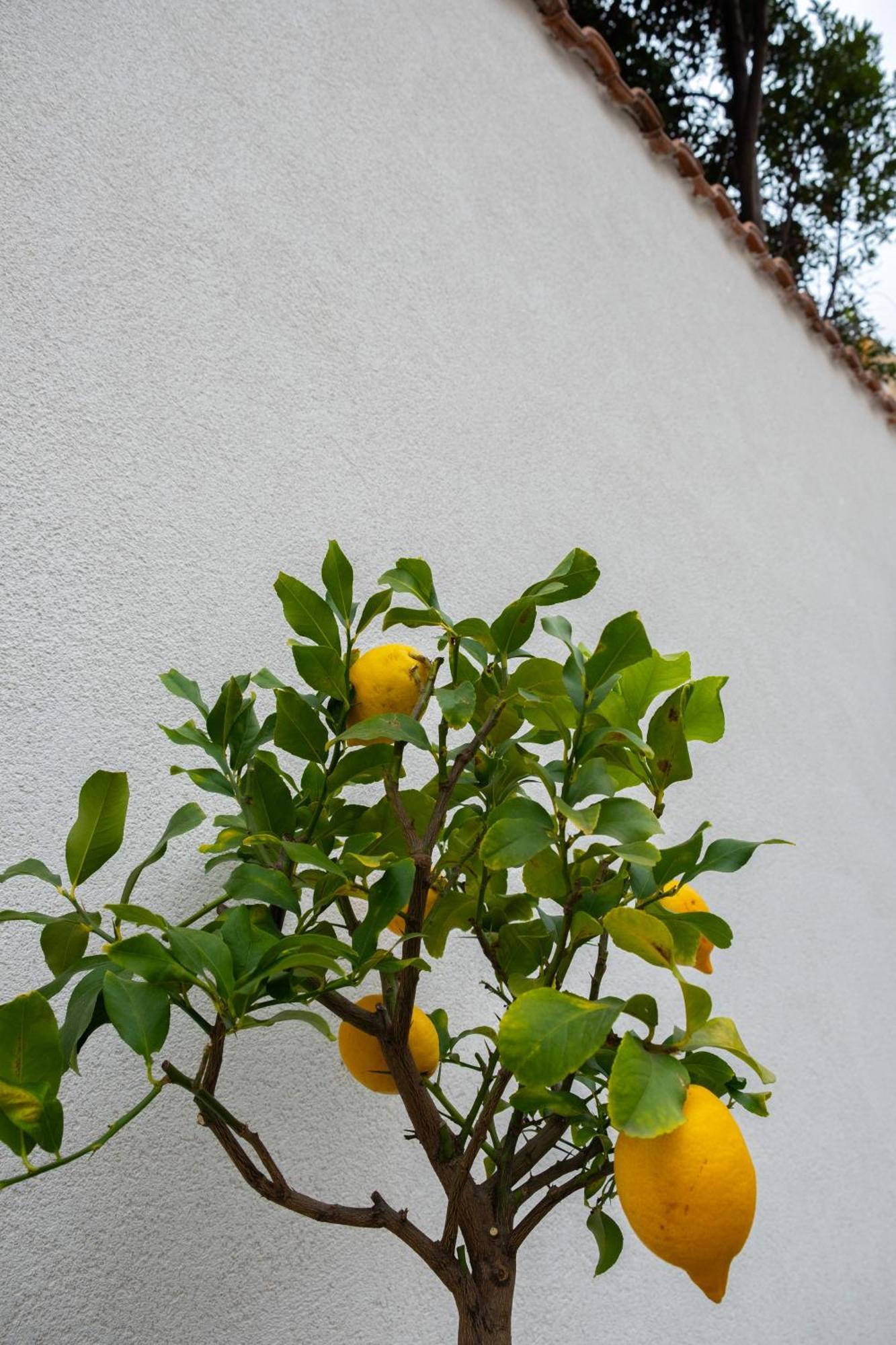 Cedros Apartment Palermo Luaran gambar